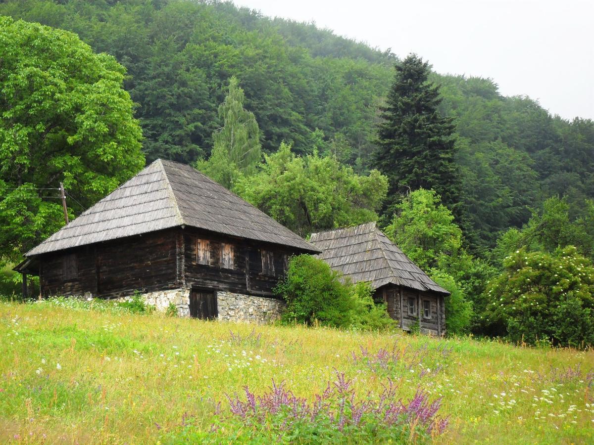 Kraljska Koliba - Kralje'S Cottage Andrijevica Exterior foto